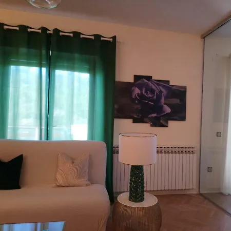 Vacation Viducic 펜션 *