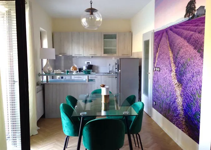 Vacation Viducic בית נופש Dragove